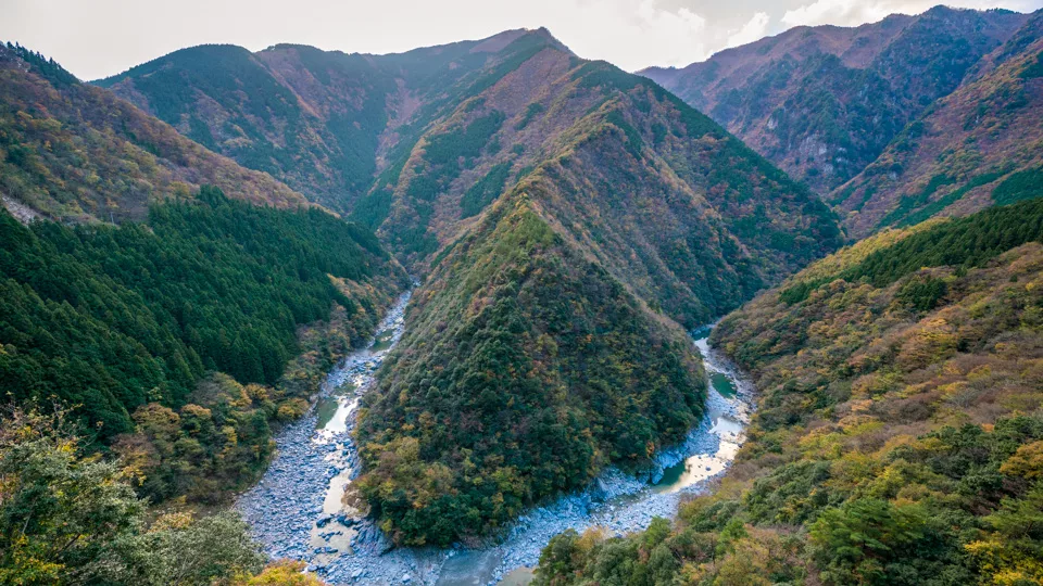 徳島地区